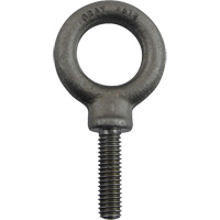Alloy Steel Eye Bolt, 1" Dia., 1-1/4" L, 1480 lbs. (0.74 tons)/1480 lbs. Capacity Helyx Safety & Industrial Supplies