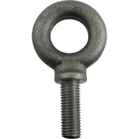 Alloy Steel Eye Bolt, 1-11/16" Dia., 2-1/4" L, 8800 lbs./8800 lbs. (4.4 tons) Capacity Helyx Safety & Industrial Supplies