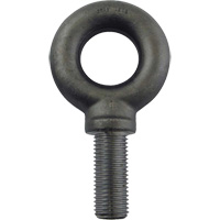 Alloy Steel Eye Bolt, 2-1/2" Dia., 3-1/2" L, 26600 lbs. (13.3 tons)/26600 lbs. Capacity Helyx Safety & Industrial Supplies