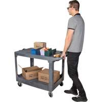 Chariot utilitaire pour l'entretien avec tablette plate, 2 tiers, 25-1/4" x 32-1/4" x 44", Capacit&eacute; 550 lb Helyx Safety & Industrial Supplies