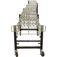 Expandable Conveyor, 18" W x 12' L, 200 lbs. per lin. ft. Capacity Helyx Safety & Industrial Supplies