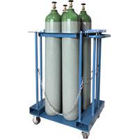 4-Cylinder Forklift Cylinder Storage Caddy Helyx Safety & Industrial Supplies