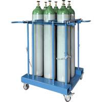 6-Cylinder Forklift Cylinder Storage Caddy Helyx Safety & Industrial Supplies
