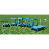Heavy-Duty Platform Truck, 48" L x 24" W, 1200 lbs. Capacity, Flat Free Casters Helyx Safety & Industrial Supplies
