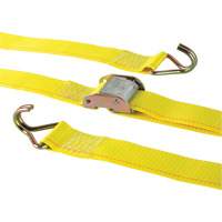 Tendeur d'arrimage &agrave; cliquet, Boucle &agrave; came, 2" la x 12' lo, Charge d'utilisation 500 lb (227 kg) Helyx Safety & Industrial Supplies