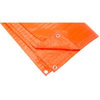B&acirc;ches isol&eacute;es, Poly&eacute;thyl&egrave;ne, Orange, 20' x 12' x 8 mils Helyx Safety & Industrial Supplies