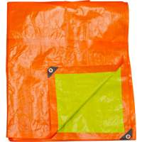 B&acirc;che tiss&eacute;e robuste haute visibilit&eacute;, Poly&eacute;thyl&egrave;ne, Vert/Orange, 16' x 20' x 12 mils Helyx Safety & Industrial Supplies