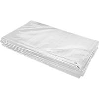 B&acirc;che isol&eacute;e, Poly&eacute;thyl&egrave;ne, Blanc, 20' x 12' x 8 mils Helyx Safety & Industrial Supplies