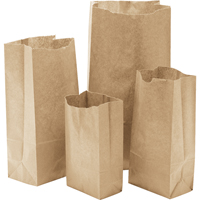 Paper Bags, Paper, 3-1/2" W x 6-3/4" L Helyx Safety & Industrial Supplies