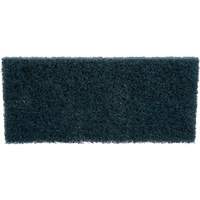 Scrubber Pad, 10" L x 4-5/8" W Helyx Safety & Industrial Supplies