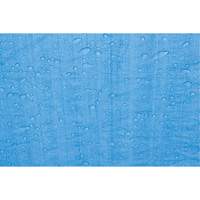 B&acirc;che, Standard, Bleu, 7' x 5' x 4 mils Helyx Safety & Industrial Supplies