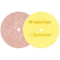 Quick-Step Instant Polish Discs, 5" Dia. Helyx Safety & Industrial Supplies