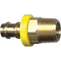 Grip-Tite Male Pipe Hose Fitting, 1/4" x 1/4" Dia, Brass Helyx Safety & Industrial Supplies