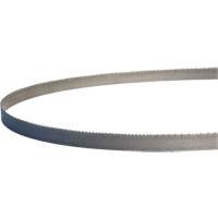 Master-Band&reg; Portable Band Saw Blades, Bi-Metal, 18 TPI, 44-7/8" L x 1/2" W Helyx Safety & Industrial Supplies