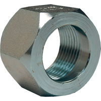 &eacute;crou hexagonal de minage Dixon, 1", Zingu&eacute;, Filetage NPT Helyx Safety & Industrial Supplies