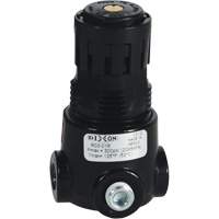 Wilkerson Miniature Regulator R03, 1/8" NPT, 300 psi Max. PSI, Standard Helyx Safety & Industrial Supplies
