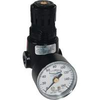 Wilkerson Miniature Regulator R04, 1/4" NPT, 300 psi Max. PSI, Standard Helyx Safety & Industrial Supplies