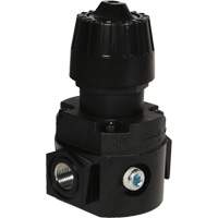 Wilkerson Compact Regulator R16, 1/4" NPT, 300 psi Max. PSI, Standard Helyx Safety & Industrial Supplies