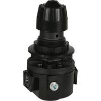 Wilkerson Regulator R26, 3/8" NPT, 300 psi Max. PSI, Standard Helyx Safety & Industrial Supplies