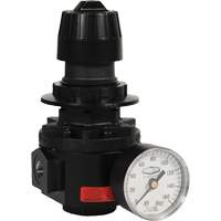 Wilkerson Regulator R26, 1/2" NPT, 300 psi Max. PSI, Standard Helyx Safety & Industrial Supplies