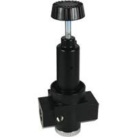 Wilkerson High Flow Regulator R30, 3/4" NPT, 300 psi Max. PSI, Standard Helyx Safety & Industrial Supplies