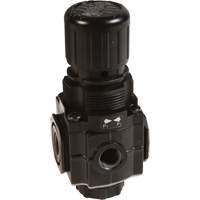 Series 1 Manifold Regulator, 1/4" NPT, 150 PSI Max. PSI, Standard Helyx Safety & Industrial Supplies