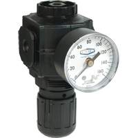 Series 1 Compact Regulator, 1/2" NPT, 150 PSI Max. PSI, Standard Helyx Safety & Industrial Supplies