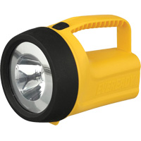 Lanterne flottante Readyflex de EverReady, DEL, 80 Lumens, Piles D Helyx Safety & Industrial Supplies