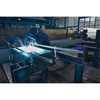 Serre-joint enti&egrave;rement en acier &agrave; double force variable Helyx Safety & Industrial Supplies