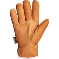 Gants Endura, Grand, Paume en Synth&eacute;tique, Doublure en Thinsulate Helyx Safety & Industrial Supplies