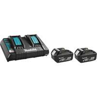 Ensemble de chargeur et batterie Helyx Safety & Industrial Supplies
