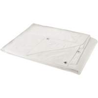 B&acirc;che, Robuste, Blanc, 40' x 30' x 6 mils Helyx Safety & Industrial Supplies
