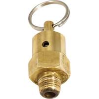 Soupape de rel&acirc;chement de pression Viton Helyx Safety & Industrial Supplies