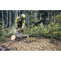 Flexvolt&reg; Cordless Chainsaw, 16", Battery Powered, 60 V Helyx Safety & Industrial Supplies