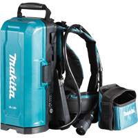 Bloc dalimentation dorsal portatif LXT et LXT X2, 18 V/36 V, Lithium-ion Helyx Safety & Industrial Supplies