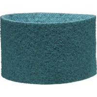 Scotch-Brite Surface Conditioning Belt Helyx Safety & Industrial Supplies