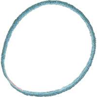 Scotch-Brite Surface Conditioning Belt Helyx Safety & Industrial Supplies