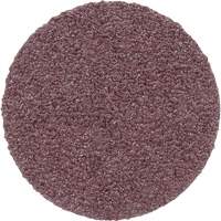PSA Cloth Disc 348D, 20" Dia., 60 Grit, Aluminum Oxide Helyx Safety & Industrial Supplies