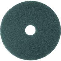 Cleaner Pad, 13", Scrubbing, Blue Helyx Safety & Industrial Supplies