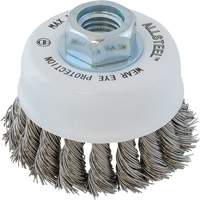 Brosse m&eacute;tallique ALLSTEEL, 3" dia. x 5/8"-11 arbre Helyx Safety & Industrial Supplies