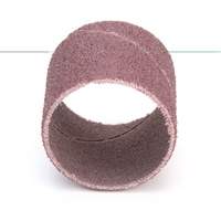 Evenrun Coated Abrasive Band, 1" x 1", Aluminum Oxide, P80 Grit Helyx Safety & Industrial Supplies