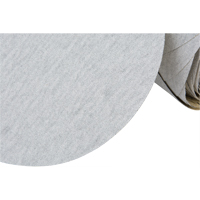 426U Stikit Paper Disc Roll, 6" Dia., 100 Grit, Silicon Carbide Helyx Safety & Industrial Supplies