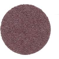Disque de conditionnement de surface, 1" dia., Grain P100, Oxyde d'aluminium Helyx Safety & Industrial Supplies