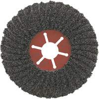 Disque semi-flexible Powerflex, 5" dia., Grain C24, Carbure de silicium Helyx Safety & Industrial Supplies