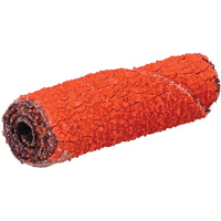 Rouleau de cartouche Blaze R920, 60 Grain, 3/8" dia., C&eacute;ramique d'alumine, 1-1/2" lo, 1/8" Dimension de l'arbre Helyx Safety & Industrial Supplies