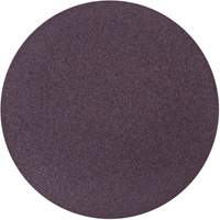 Disque de ponçage en tissu PSA Metalite, 10" dia., Grain 36, Oxyde d'aluminium Helyx Safety & Industrial Supplies