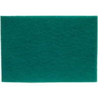 Tampons manuels Bear-Tex, Oxyde d'aluminium, 6" x 9", Grain Tr&egrave;s fin Helyx Safety & Industrial Supplies