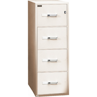 Classeurs &agrave; l'&eacute;preuve du feu, Acier, 4 tiroirs, 19-3/4" la x 31" p x 54" h, Beige Helyx Safety & Industrial Supplies