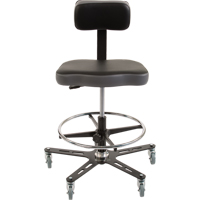 Chaise ergonomique industrielle TF160, Mobile, Ajustable Hauteur, Capacit&eacute; 300 lb Helyx Safety & Industrial Supplies