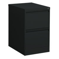 Vertical Filing Cabinet, Steel, 2 Drawers, 18-1/7" W x 25" D x 29" H, Black Helyx Safety & Industrial Supplies